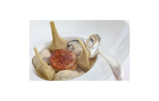 GEORGETTE GEORGETTE  G24MADV